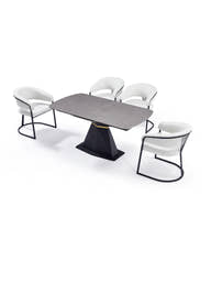 267 Dining Chair (Black White) - GLARA HOME